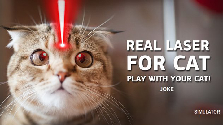pointeur laser pour chats